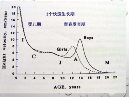 这种发育过程称为（这种发育过程称为什么阶段）-图3