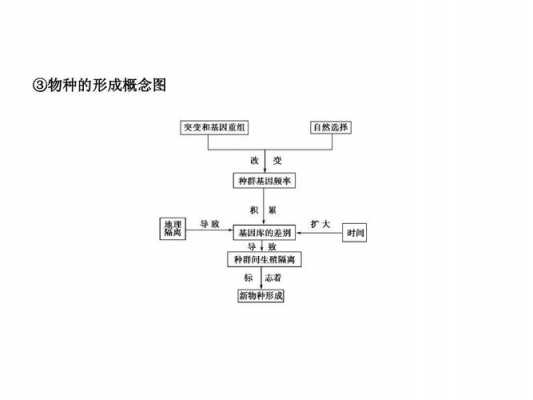 概念的形成的过程（概念的形成的过程包括）-图3