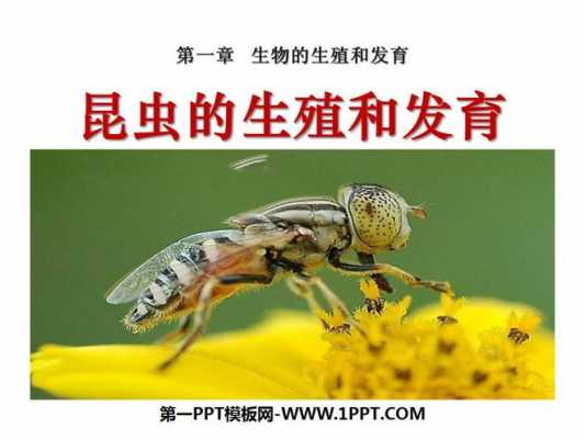 奇特生物的生殖过程（一种生物的生殖特点及过程）-图3