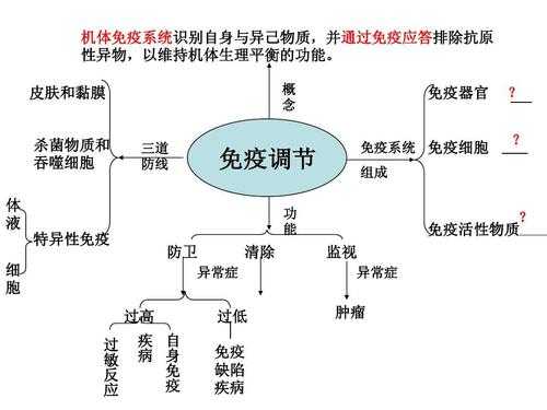 免疫调节详细过程（免疫调节过程中具有识别作用的细胞）-图1