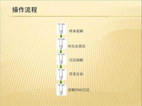 蛋白提取过程（蛋白提取过程中三氯甲烷的作用）-图1