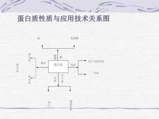 蛋白提取过程（蛋白提取过程中三氯甲烷的作用）-图3