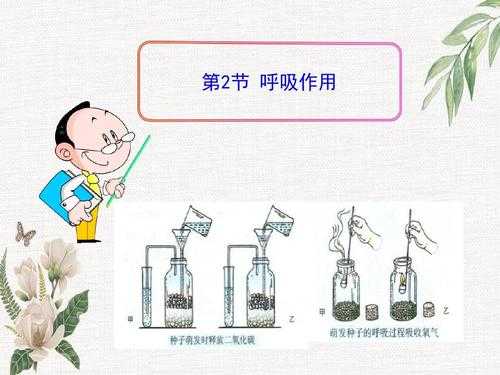 生物学吸气过程（生物学吸气过程实验）-图3