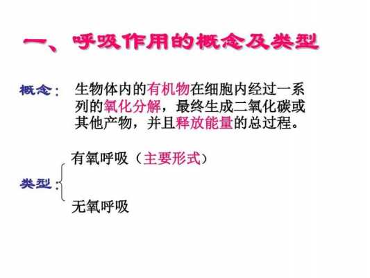 生物学吸气过程（生物学吸气过程实验）-图2