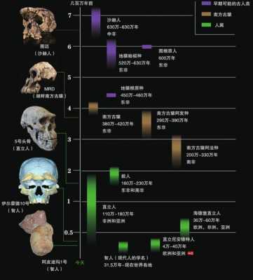 人的形成过程（人的形成过程视频讲解）-图1