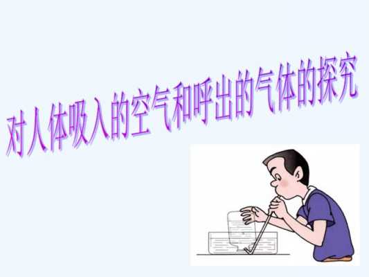 人体吸入空气过程（人体吸入空气呼出什么）-图1