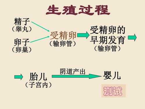 但它的生殖过程（生物的生殖）-图1