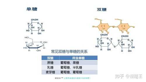 双糖的合成过程（双糖由哪两个单糖组成）-图1