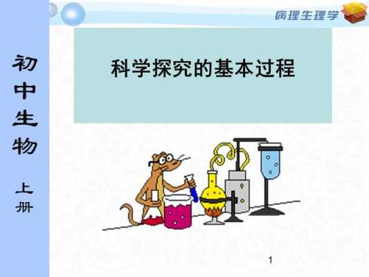 初步了解科学探究过程（探究科学的步骤）-图2