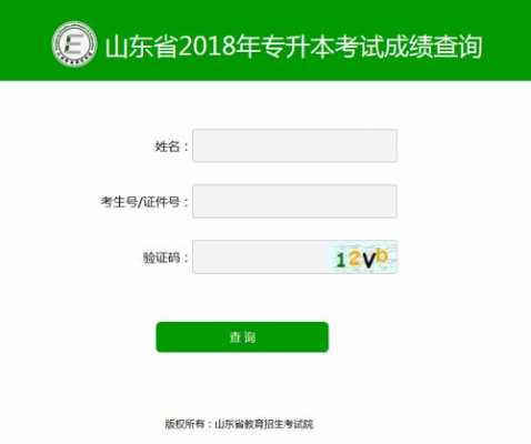 山东专升本查成绩过程（山东专升本考试结果查询）-图2