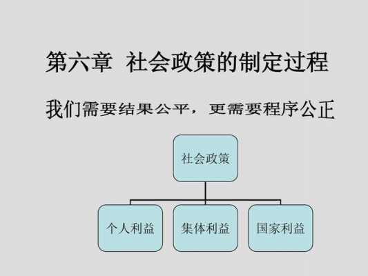 社会政策形成过程（社会政策形成过程包括）-图1