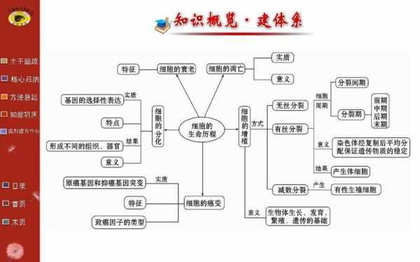 价值增殖过程举例（价值增殖过程举例说明）-图2