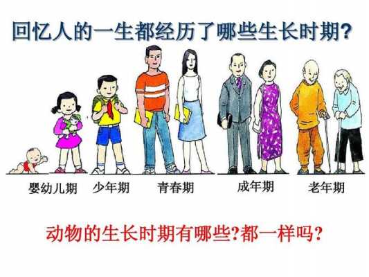 人类婴儿生长过程（人类的婴儿）-图2