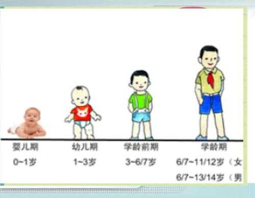 幼儿体型成长过程（幼儿体格生长发育的特点）-图1