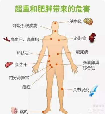 肥胖的过程（肥胖是如何产生的,主要表现是什么）-图2