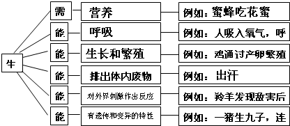 过程和特征（过程特征外的部件部分已冲突）-图2