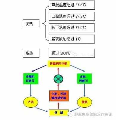 简述发热过程特点（简述发热的过程及其临床表现）-图2