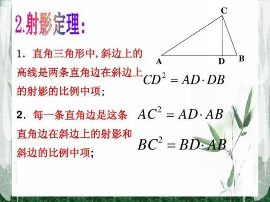 射影定理的证明过程（射影定理求证）-图3