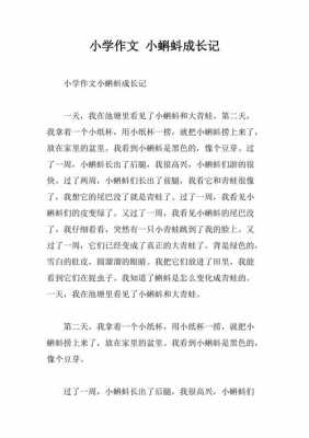 蝌蚪成长过程日记（蝌蚪成长记的作文）-图2