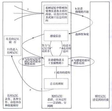 结果过程理论（结果论和过程论哪个重要）-图3