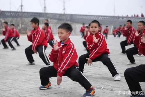 在学武术过程中（学武术遇到的困难）-图2