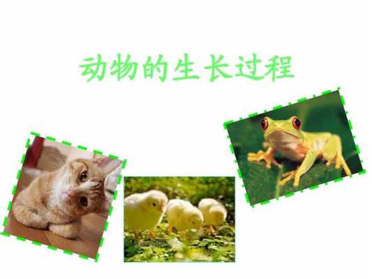 生物的生长变化过程（生物的生长发育过程）-图1