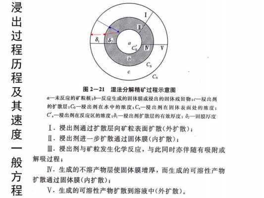 浸出过程阶段（简述浸出的过程及影响浸出的因素）-图3