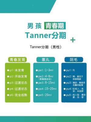 美国男孩发育过程图（美国男孩发育过程图解）-图1