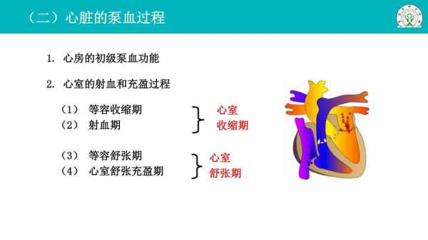 心泵血过程列表（心脏泵血过程包括哪些时程）-图2