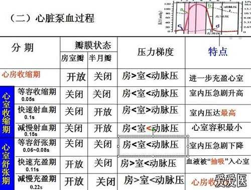 心泵血过程列表（心脏泵血过程包括哪些时程）-图1