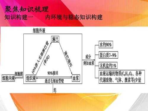 内环境调节过程（内环境的调节方式是什么）-图2