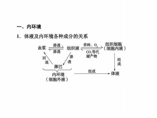 内环境调节过程（内环境的调节方式是什么）-图3