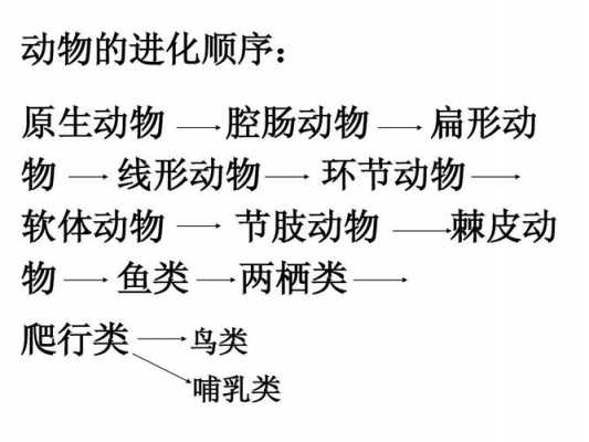 动物的进化过程ppt（腔肠动物到哺乳动物的进化过程）-图1