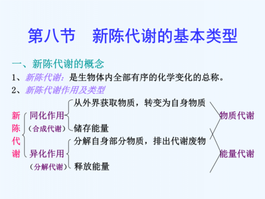 新陈代谢包括的过程（新陈代谢方式分类）-图2