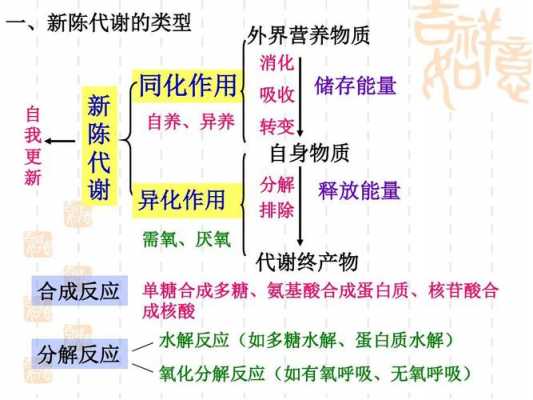 新陈代谢包括的过程（新陈代谢方式分类）-图3