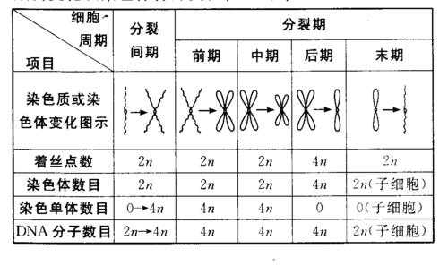 关于无丝分列过程口诀的信息-图1