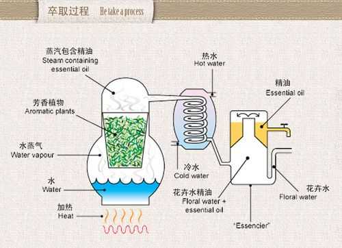 萃取过程的基本方式（萃取过程的基本方式是）-图1