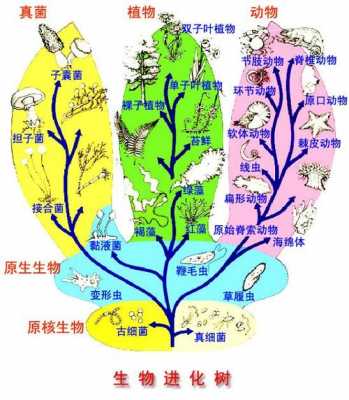 生物生理全过程（生物生理全过程包括）-图2