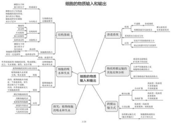 生物生理全过程（生物生理全过程包括）-图3