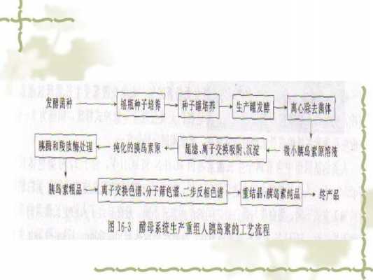 胰岛素的生产过程（胰岛素生产过程中的副产物）-图3