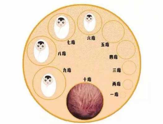 开宫口的过程图片（开宫口示意图）-图1