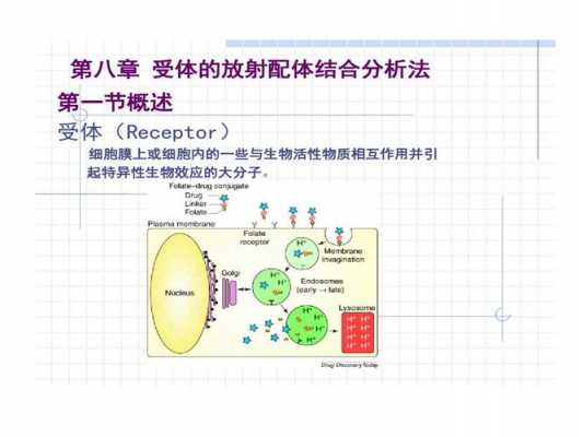 物质与受体结合过程（与受体结合的物质叫什么）-图2