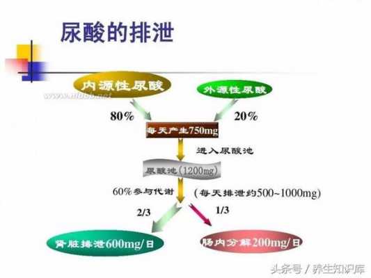 尿酸降过程（尿酸骤降）-图2