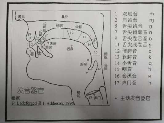 发声的基本过程（发声的基本要领）-图2