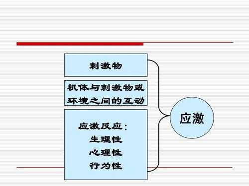 应激过程包括（应激过程包括以下哪几部分）-图1