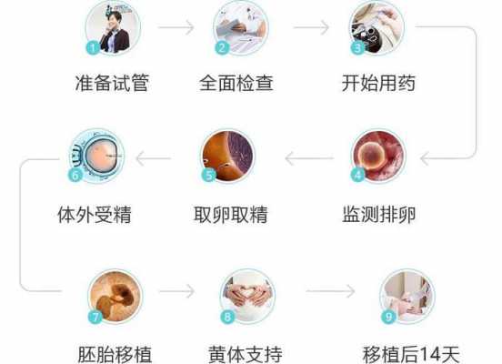 试管婴儿短方案过程（试管婴儿短方案流程步骤）-图2
