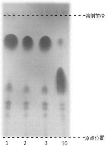 薄层分析的过程（薄层分析的过程有哪些）-图2