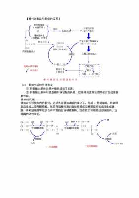 酮体的反应过程（酮体的反应过程包括）-图2