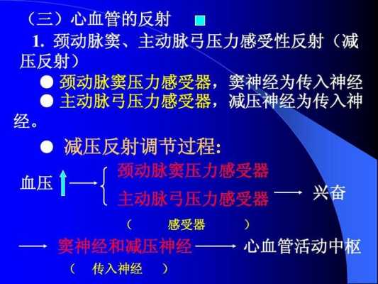 降压反射的主要过程（降压反射流程图）-图3