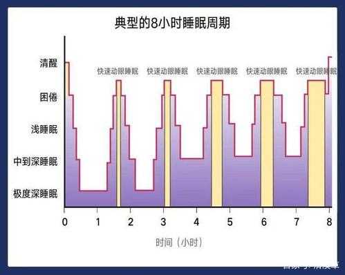 睡眠是什么的过程（睡眠是怎样形成的）-图2